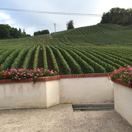 La Loge Du Vigneron Vila Vauciennes  Exterior foto
