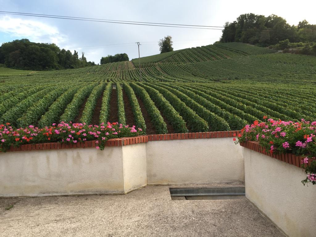 La Loge Du Vigneron Vila Vauciennes  Exterior foto